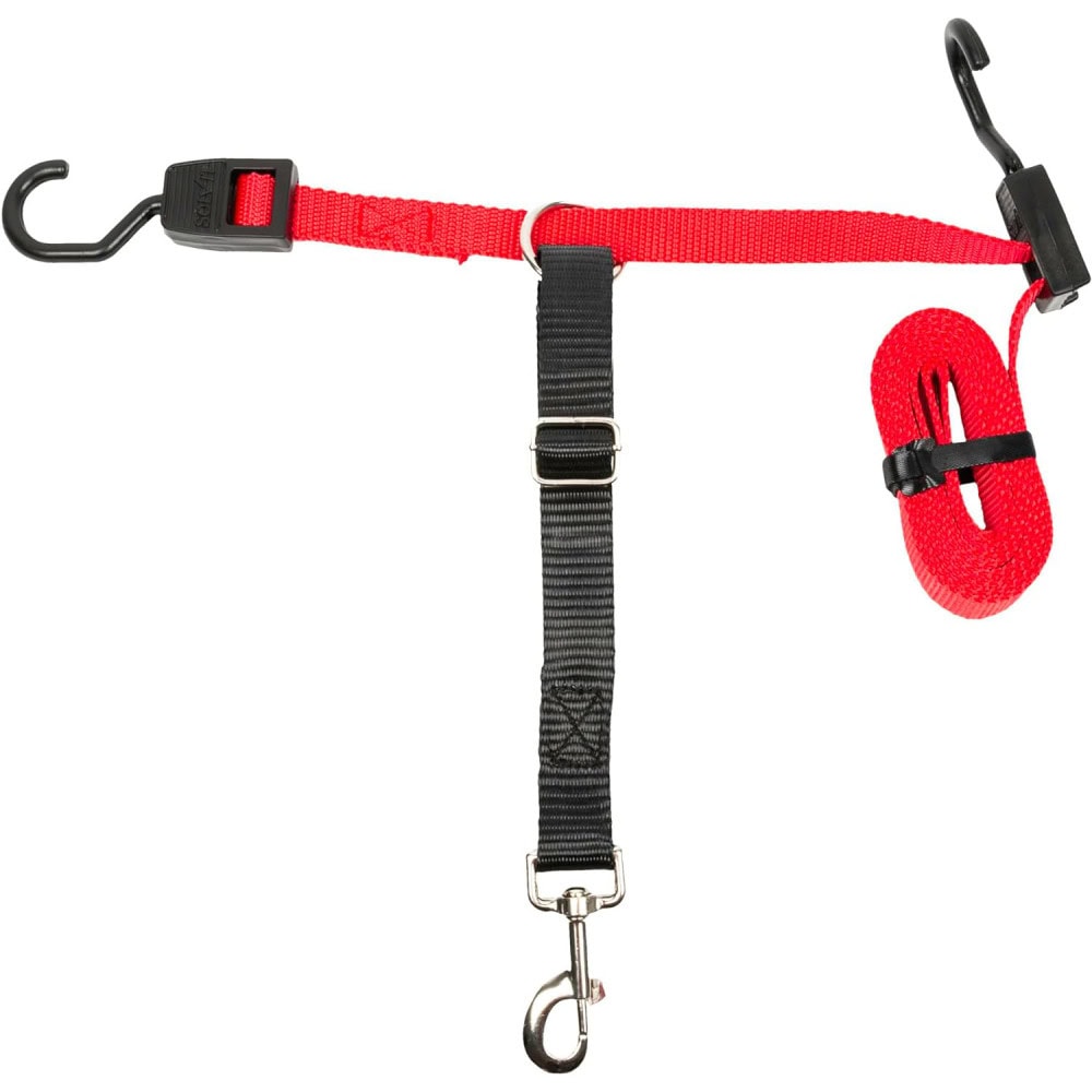 10 Best Dog Car Harnesses (July 2024) Reviews & Top Picks Hepper