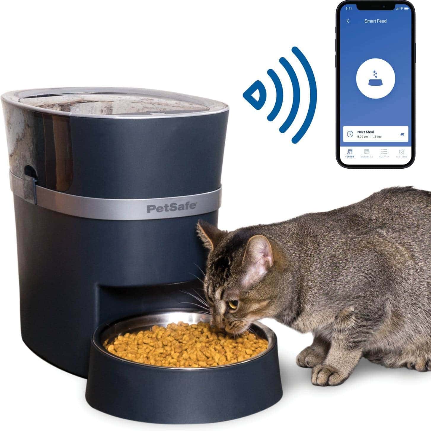 weekend cat feeder