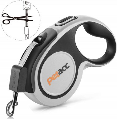 different dog leashes