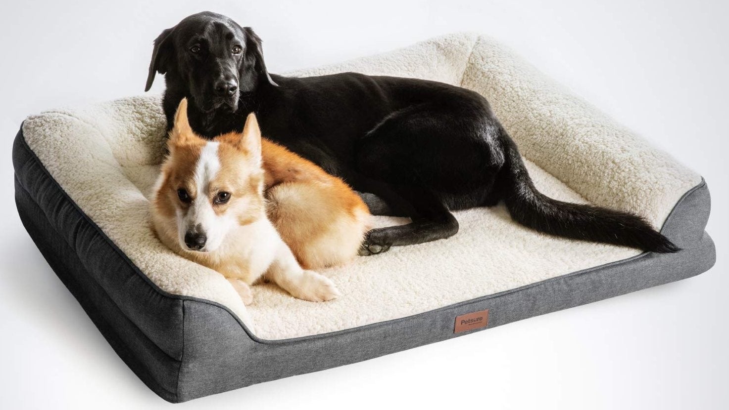 best flea treatment for dogs