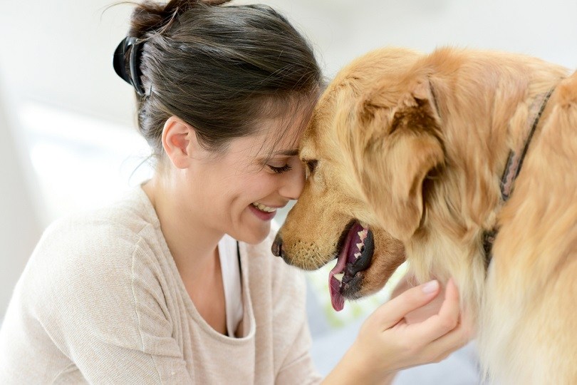 Best dog breeds deals for single women