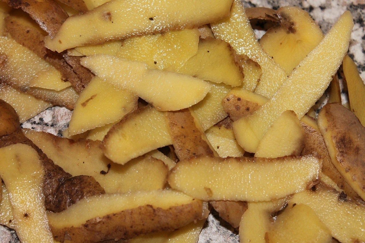 Potato skin
