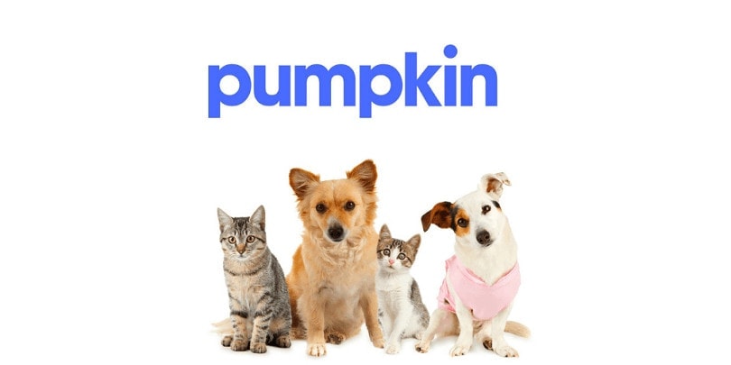 Pumpkin Pet Insurance
