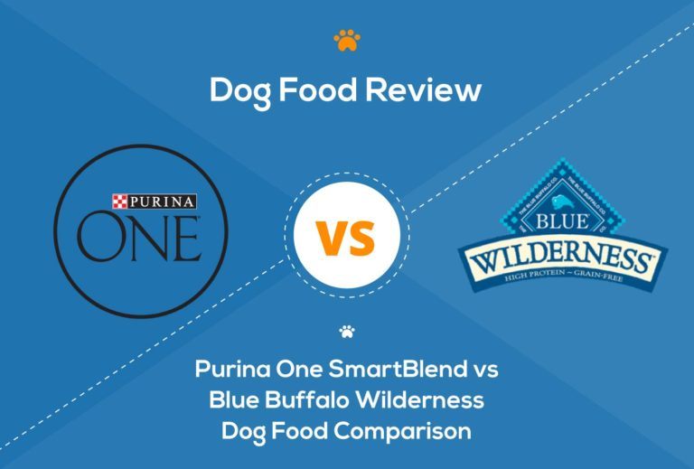 Purina One vs Blue Buffalo