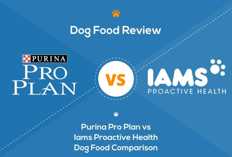 Purina Pro Plan vs Iams Proactive Health Dog Food
