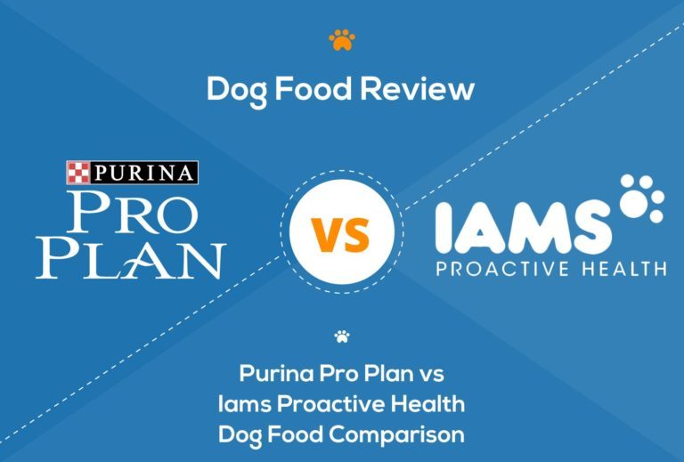 Purina Pro Plan vs Iams Proactive Health Dog Food