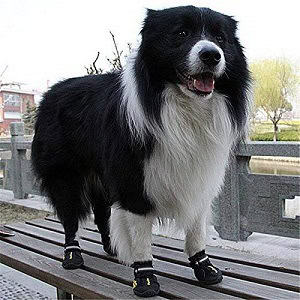 QUMY Dog Boots Waterproof Shoes for Dogs with Reflective Velcro Rugged Anti-Slip Sole Black 4PCS