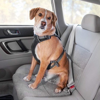 10 Best Dog Car Harnesses May 2022 Reviews Top Picks Hepper - Best Dog Seat Belt Harness