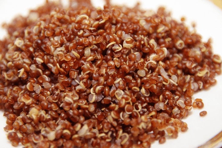 Red cooked quinoa for dogs