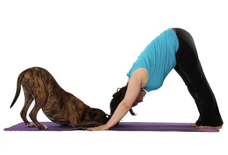 Relaxation Yoga