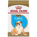 Royal Canin Bulldog Dry Dog Food