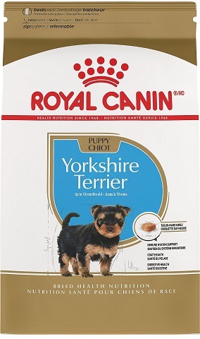 royal canin boston terrier