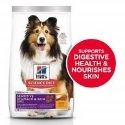 Hill’s Science Diet Dog Food