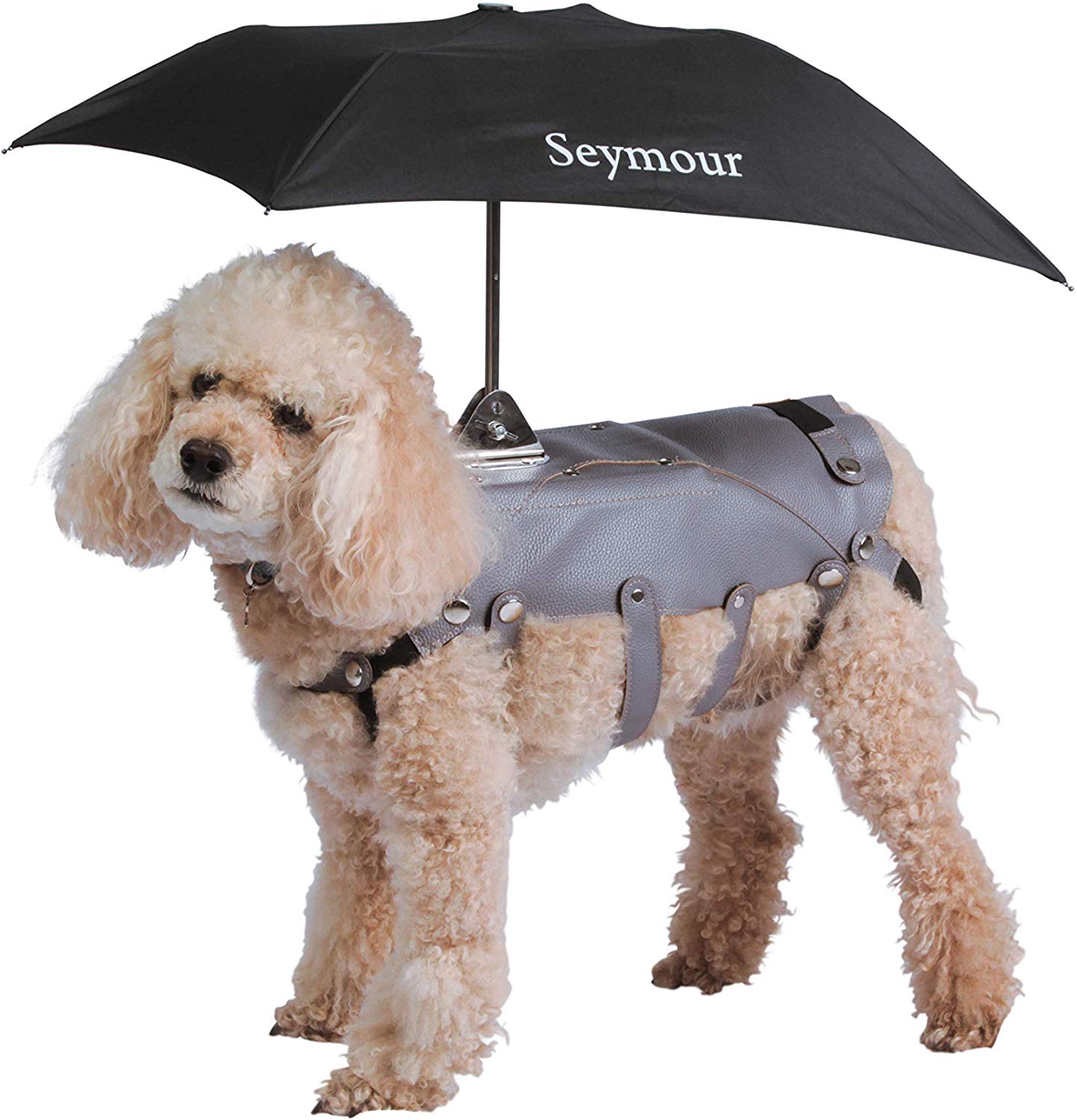 6 Best Dog Umbrellas of 2023 Reviews & Top Picks Hepper