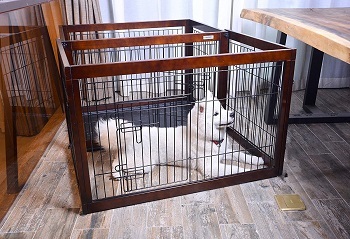 Simply Plus Dog Crate
