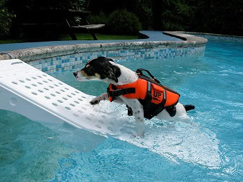 Dog Ladders for Fishing Boats