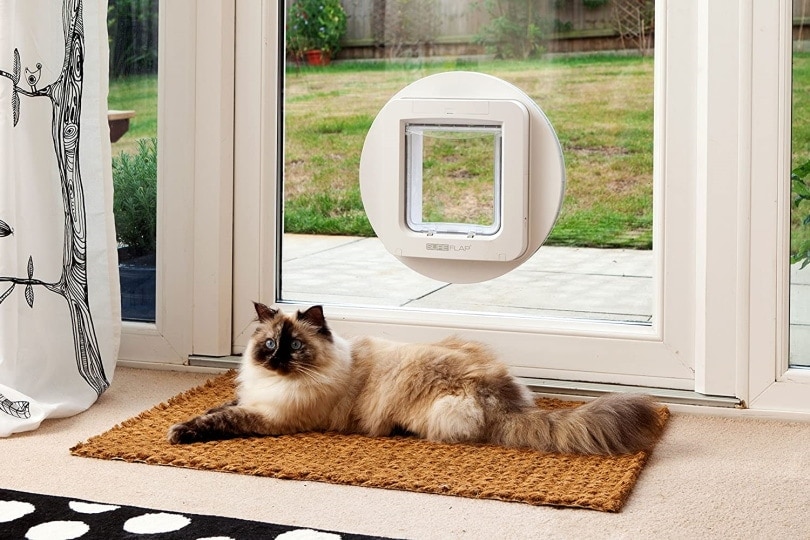 SureFlap-Sure Petcare Microchip Pet Door