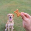 Sweet Potato Dog Treats Recipe