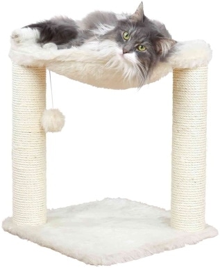 cat tree for ragdolls