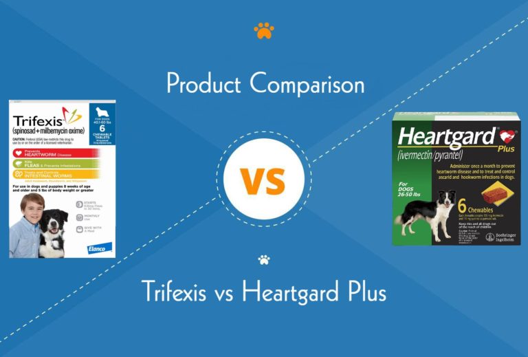 Trifexis vs. Heartgard Plus We Asked a Vet (2024 Update) Hepper