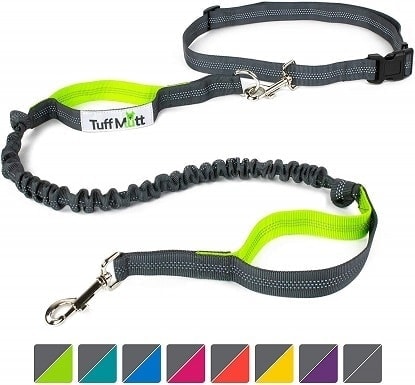 buddy system leash