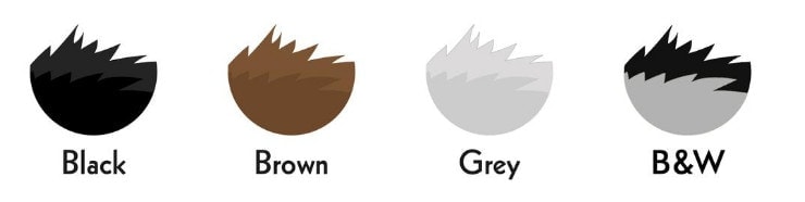 Newfoundland fur colors