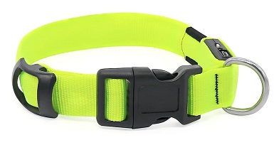 glow stick dog collar
