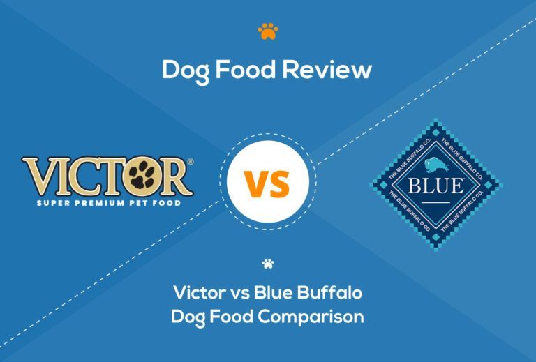 Victor vs Blue Buffalo Dog Food