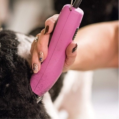 9 Best Dog Clippers for Thick Coats 2023 - Reviews & Top Picks | Hepper
