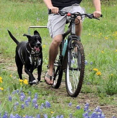 A happy dog running after a bike