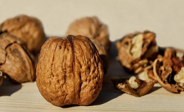 Can Dogs Eat Walnuts