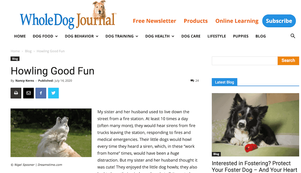 Whole Dog Journal blog