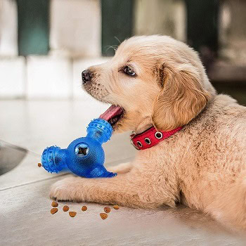 10 Best Interactive Dog Toys