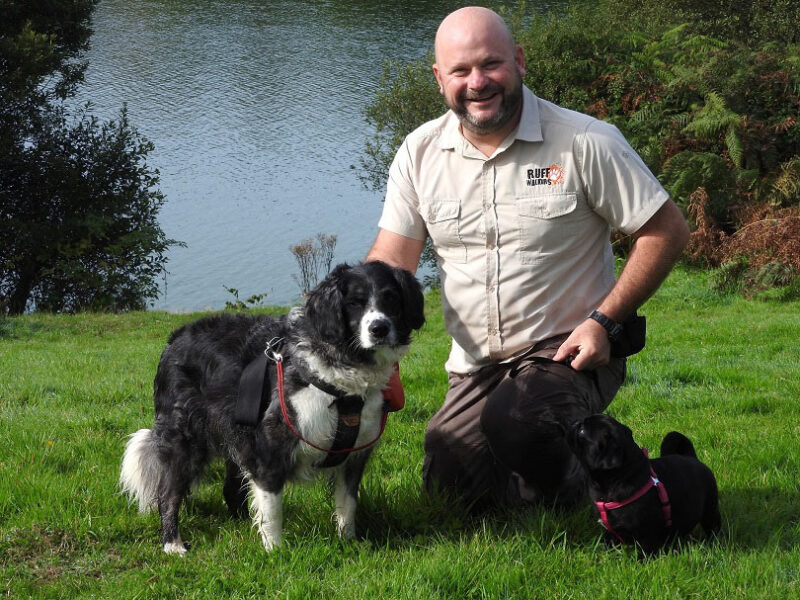 a dog beside his trainer