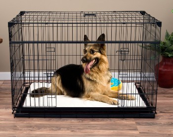 a german shepherd dog inside a crate