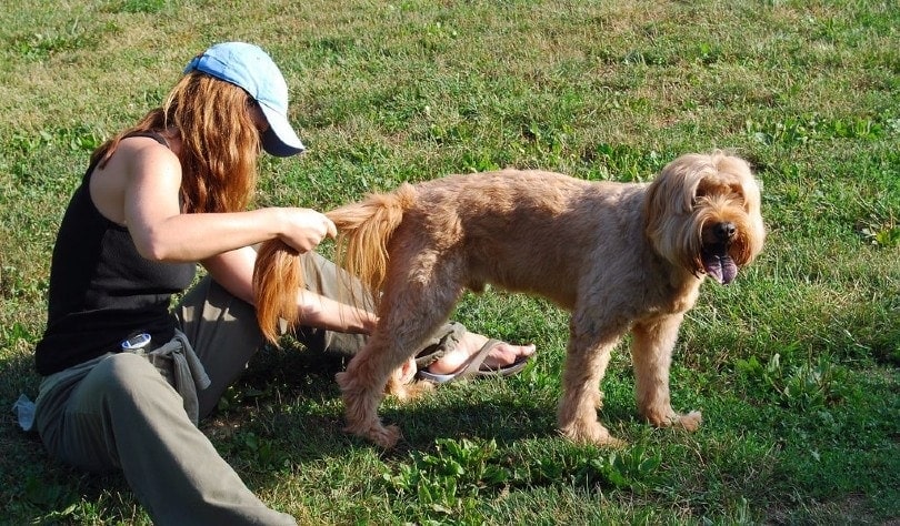 a woman getting out the burrs