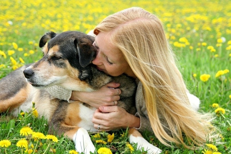a woman hugging her aging German Shepherd mix dog