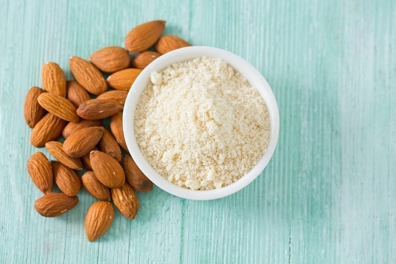 Can Dogs Eat Almond Flour Vet Reviewed Facts Considerations Hepper
