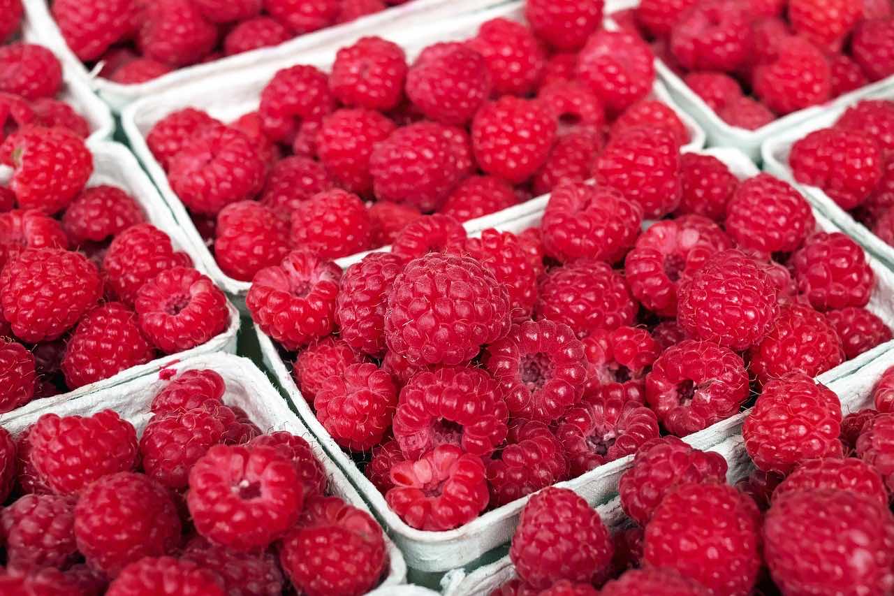 baskets of raspberries