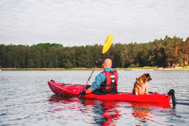 best kayaks for dogs