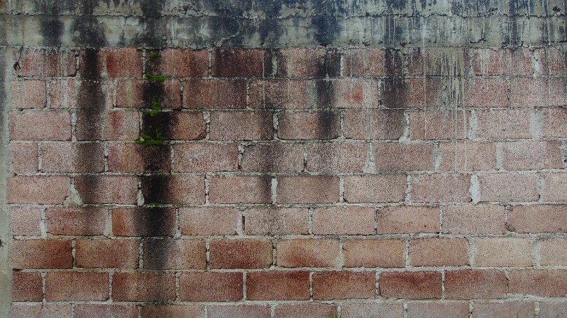 brick wall