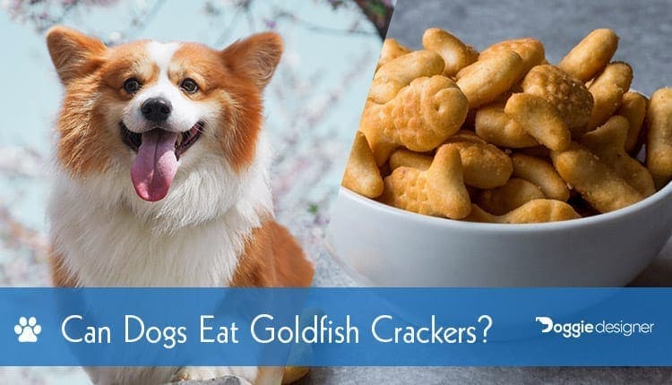 crackers for dogs