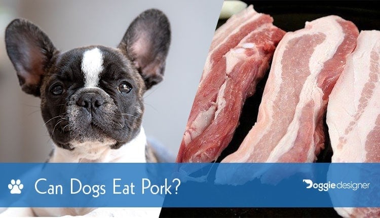 can i feed pork to my dog
