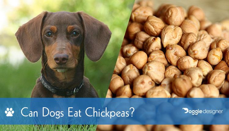 are chickpeas safe for dogs