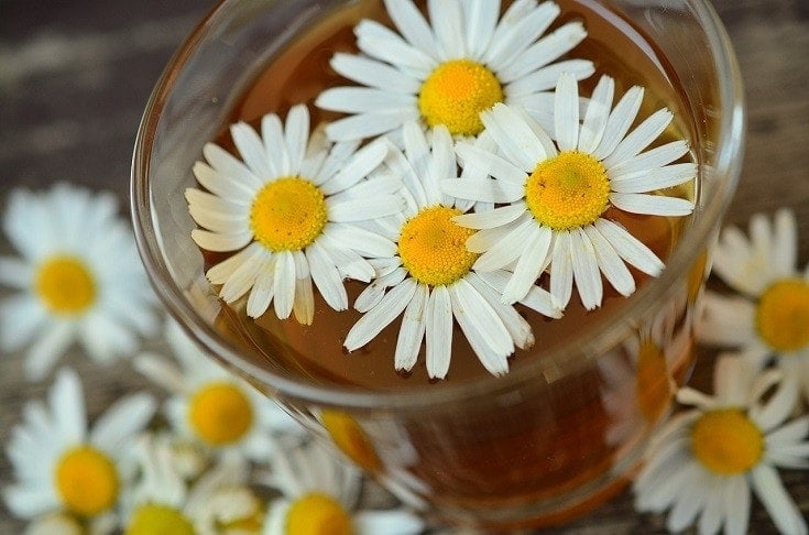 chamomile tea