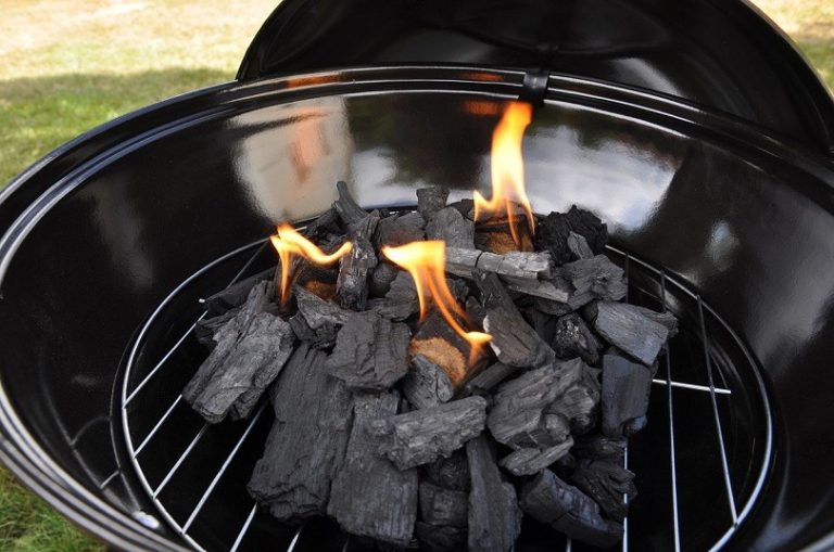 My Dog Ate Onions! Here’s What to Do (Vet Answer) Hepper