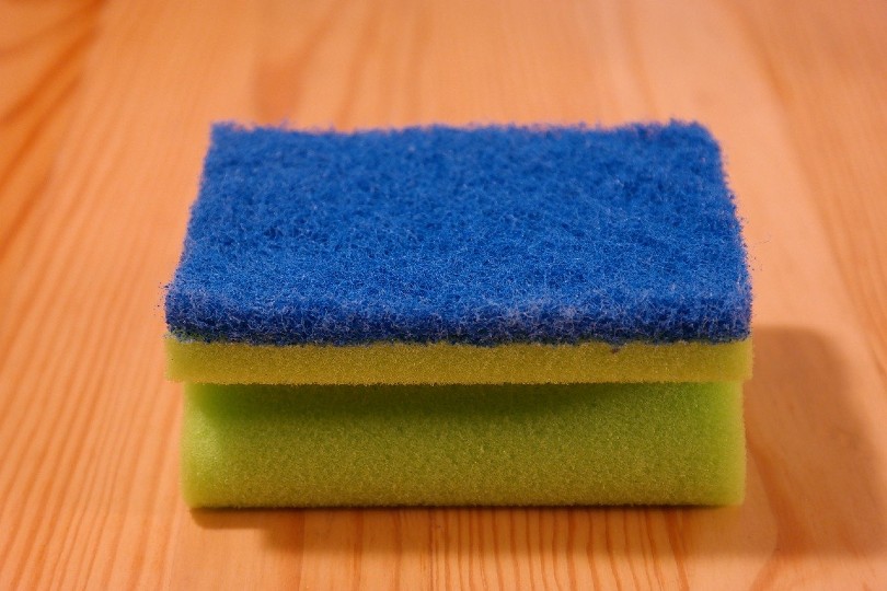 clean sponge