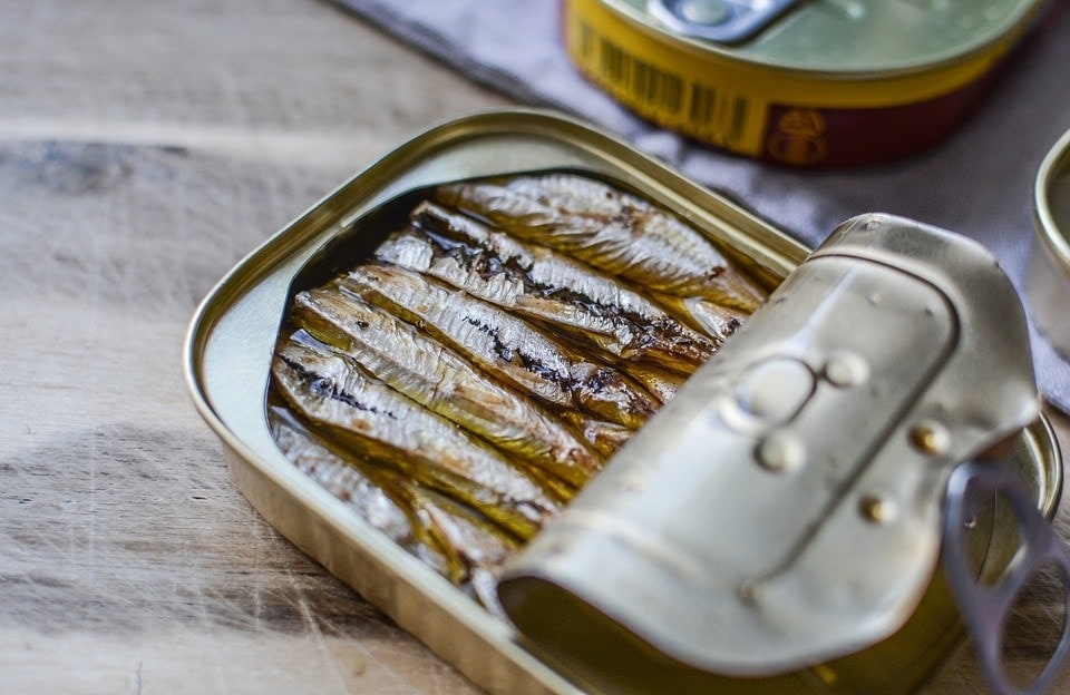 close up canned sardines