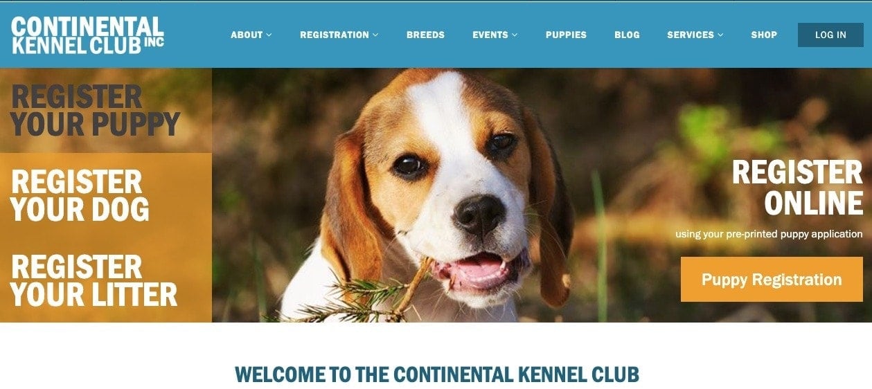 continental kennel club homepage