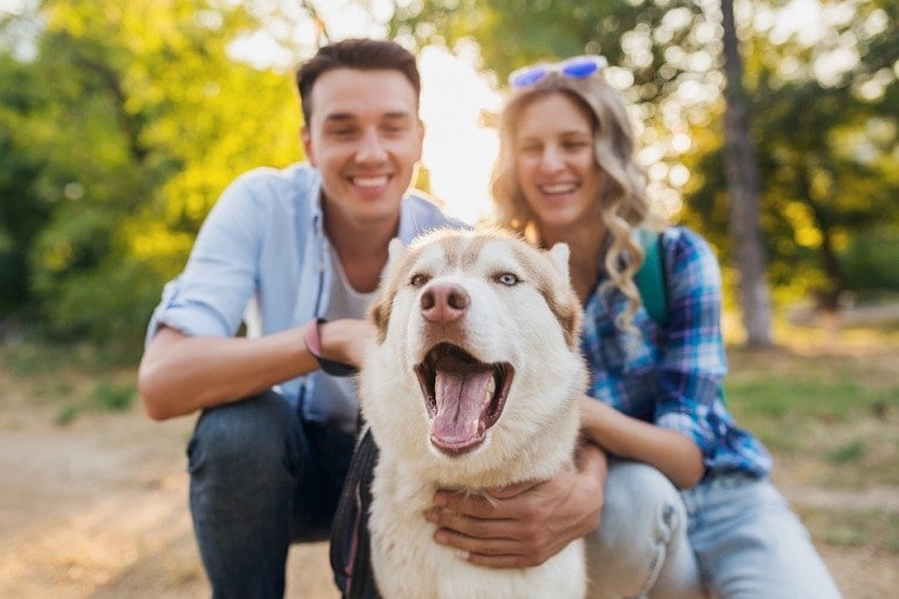 couple-with-husky_Maria-Markevich_shutterstock